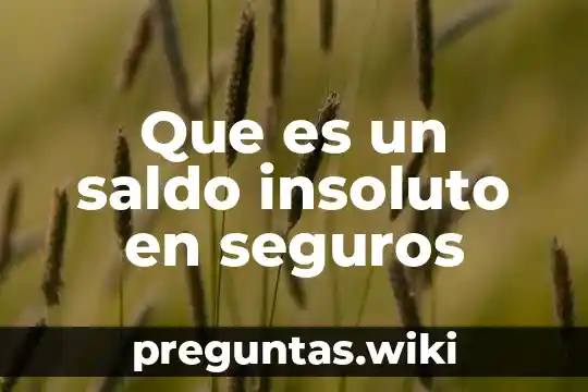 Que es un saldo insoluto en seguros