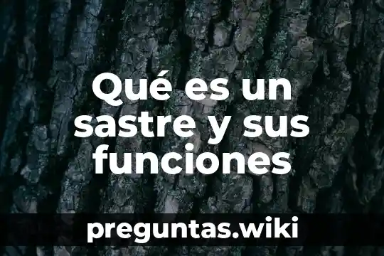 Qué es un sastre y sus funciones