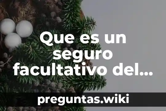Que es un seguro facultativo del imss