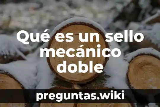 Qué es un sello mecánico doble