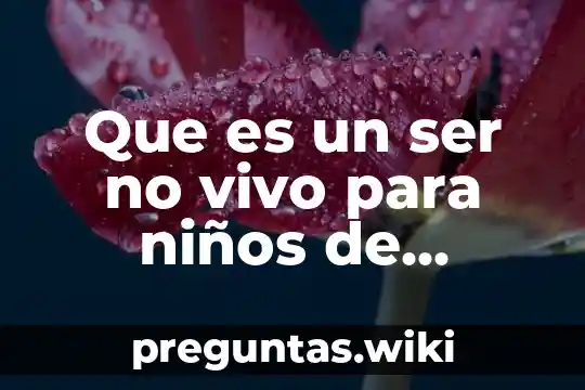 Que es un ser no vivo para niños de preescolar