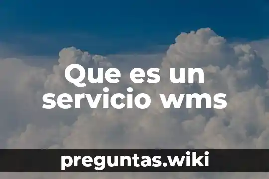 Que es un servicio wms