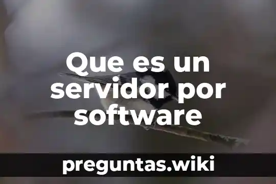 Que es un servidor por software