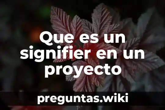 Que es un signifier en un proyecto