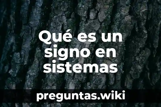 Qué es un signo en sistemas