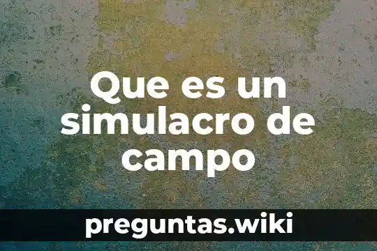 Que es un simulacro de campo