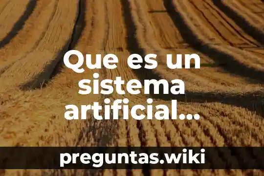Que es un sistema artificial clasificacion