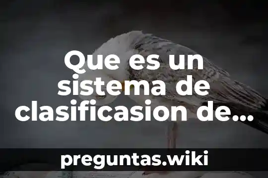 Que es un sistema de clasificasion de inventarios