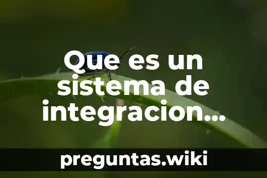 Que es un sistema de integracion grafica en economica