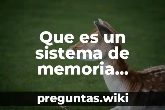Que es un sistema de memoria compartida