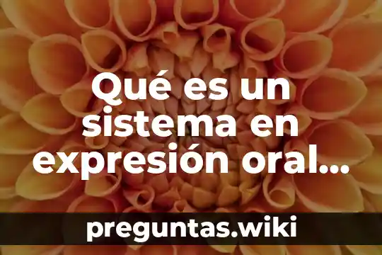 Qué es un sistema en expresión oral y escrito