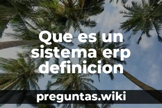 Que es un sistema erp definicion