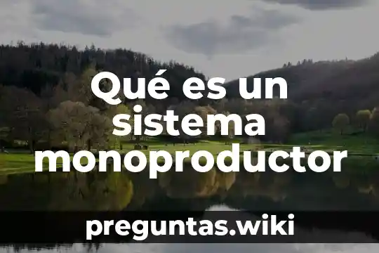 Qué es un sistema monoproductor