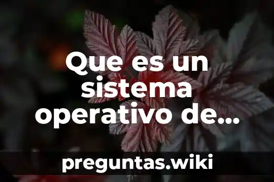 Que es un sistema operativo de entorno grafico