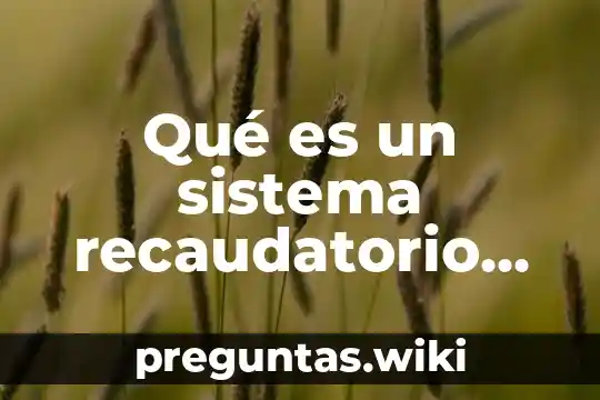 Qué es un sistema recaudatorio positivo óptimo