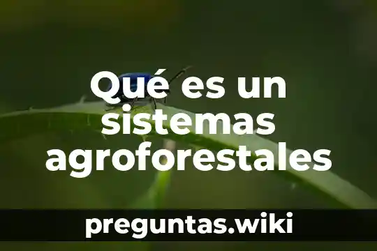 Qué es un sistemas agroforestales