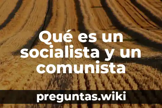 Qué es un socialista y un comunista