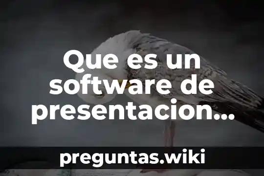 Que es un software de presentacion tipos