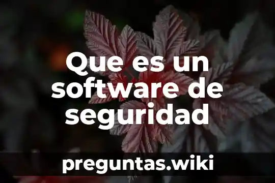 Que es un software de seguridad