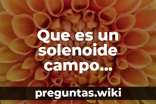 Que es un solenoide campo magnetico