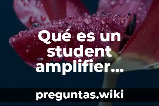 Qué es un student amplifier modelo csa 501