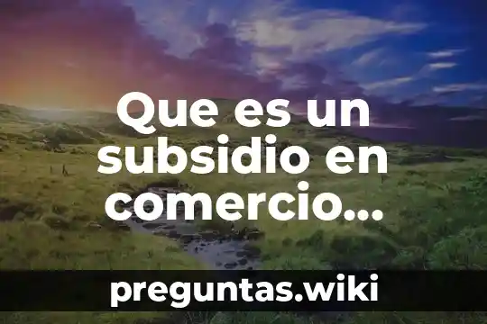 Que es un subsidio en comercio internacional