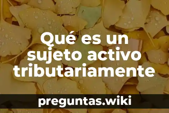 Qué es un sujeto activo tributariamente