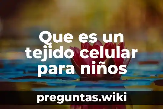 Que es un tejido celular para niños