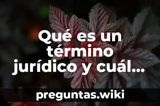Qué es un término jurídico y cuál es su fundamento
