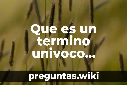 Que es un termino univoco equivoco y analogo