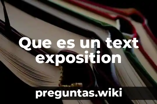 Que es un text exposition