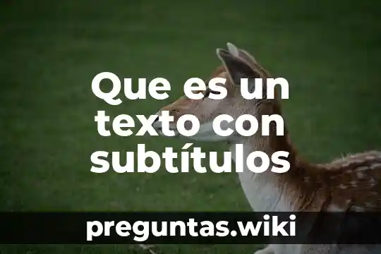 Que es un texto con subtítulos