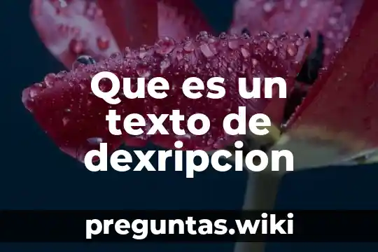 Que es un texto de dexripcion