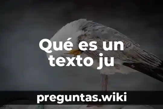 Qué es un texto ju