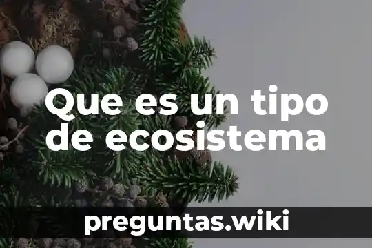 Que es un tipo de ecosistema