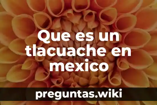 Que es un tlacuache en mexico