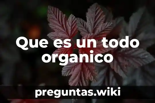 Que es un todo organico