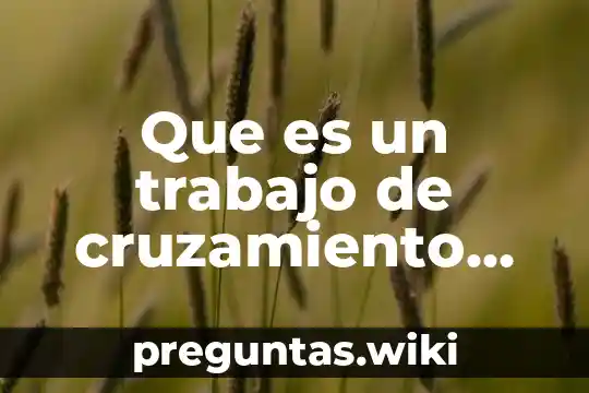 Que es un trabajo de cruzamiento en brujeria