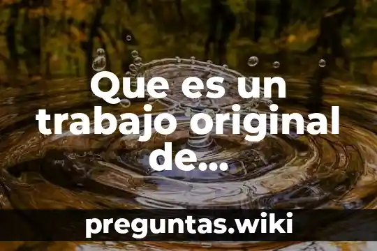 Que es un trabajo original de investigacion