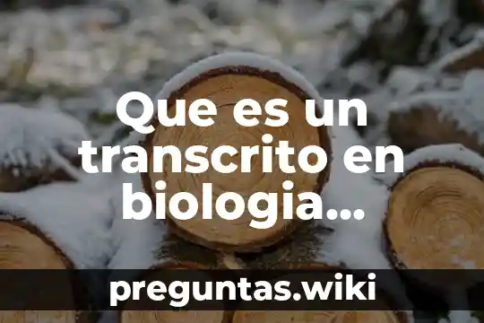 Que es un transcrito en biologia molecular