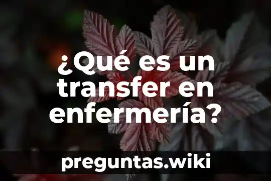 ¿Qué es un transfer en enfermería?