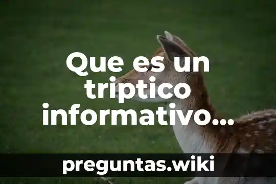 Que es un triptico informativo para niños