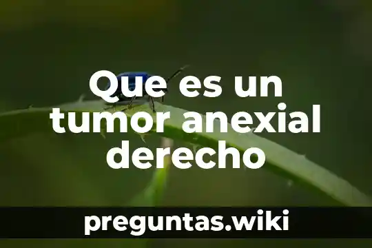 Que es un tumor anexial derecho