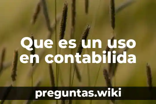 Que es un uso en contabilida
