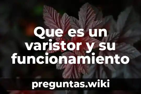 Que es un varistor y su funcionamiento