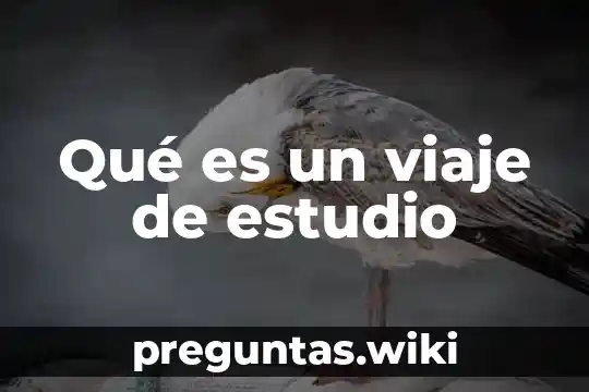 Qué es un viaje de estudio