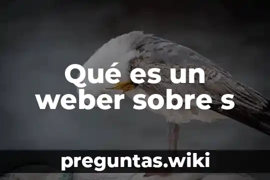 Qué es un weber sobre s