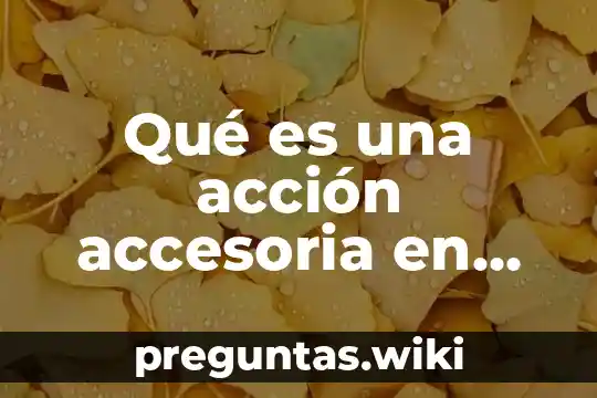 Qué es una acción accesoria en derecho