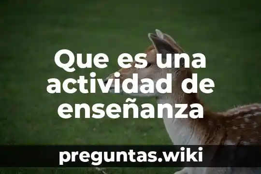 Que es una actividad de enseñanza