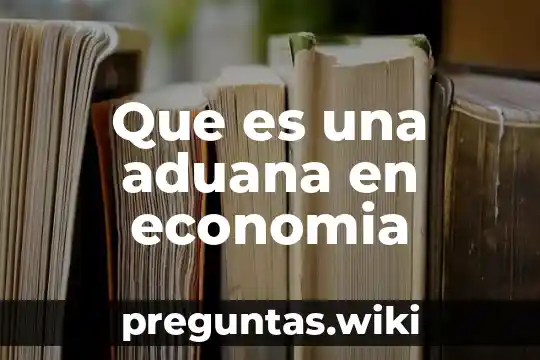 Que es una aduana en economia